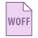 WOFF icon