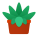 Succulento icon