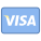 Visa icon