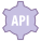 Настройки API icon