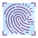 Fingerprint icon