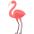 Flamant rose icon