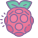 Raspberry Pi icon