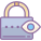 Show Password icon