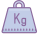 무게 Kg icon