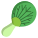 Pok Choi Leaf icon