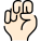 Ganze Hand icon