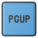PGUP icon