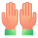 Ganze Hand icon