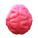 Cerveau icon