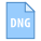 DNG icon