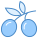 Aceituna icon