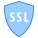 Sicurezza SSL icon