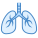 Pulmones icon