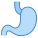 Stomach icon