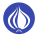 Perl icon