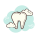 Tooth icon