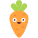 Carrot icon