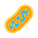 mitocôndria icon