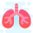 Lungs icon