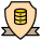 Database Security icon