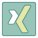 Xing icon