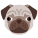 Pug icon