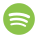 Spotify icon