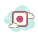 Dribbble icon