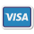 Visa icon