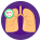 Lung Cancer icon