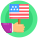 Flag icon