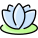 Lotus icon