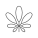 Schefflera icon