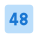 48 icon