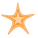 Sea Star icon