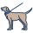 Walking The Dog icon