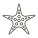 Sea Star icon