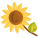 Sonnenblume icon