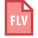 FLV icon