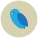 Uccello icon