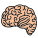 Brain icon