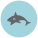 Shark icon