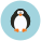 Pinguino icon