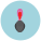 Pavo icon