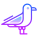 Möwe icon