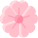 Sakura icon