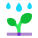 雨中的植物 icon