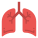 Anatomy icon