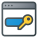 Password icon